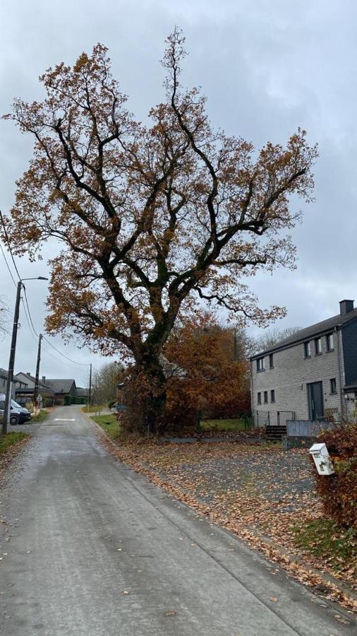 Le Gite Du Vieux Chene Bertogne Dış mekan fotoğraf